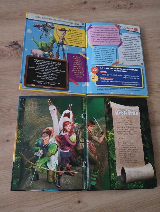 Zestaw 4 bajek DVD Shrek, Auta, Toy story,Tajemnica zielonego królestw