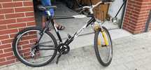 Rower MTB accent