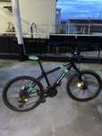 roock rider 700 bwin
