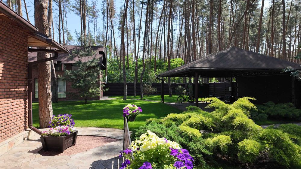 Продаж будинку в лісі, Піщанка, Ліс,Річка,