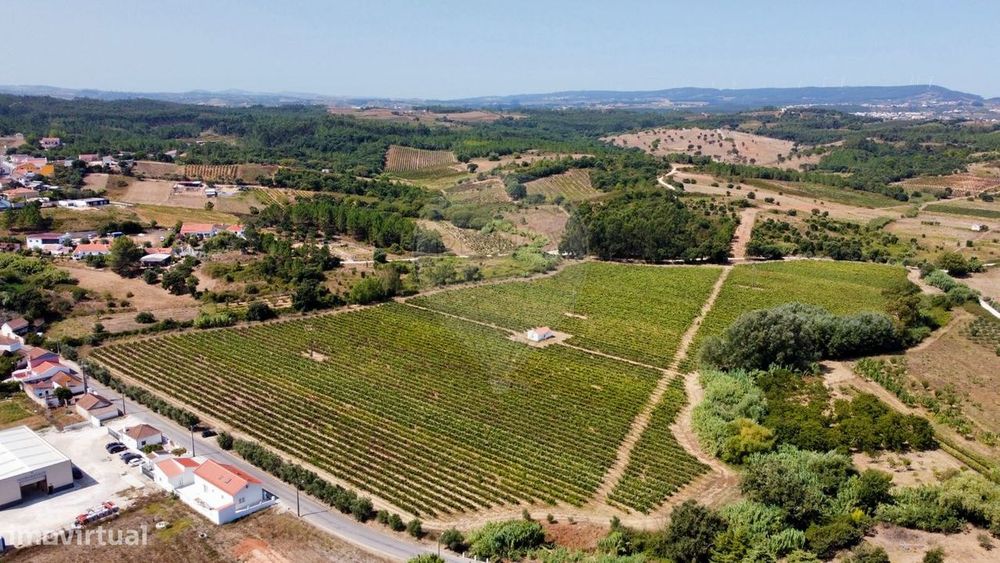 Terreno  para venda