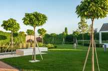 Profesjonalne Zakładanie Trawnika - Drenaż - Nawadnianie -SMART GARDEN