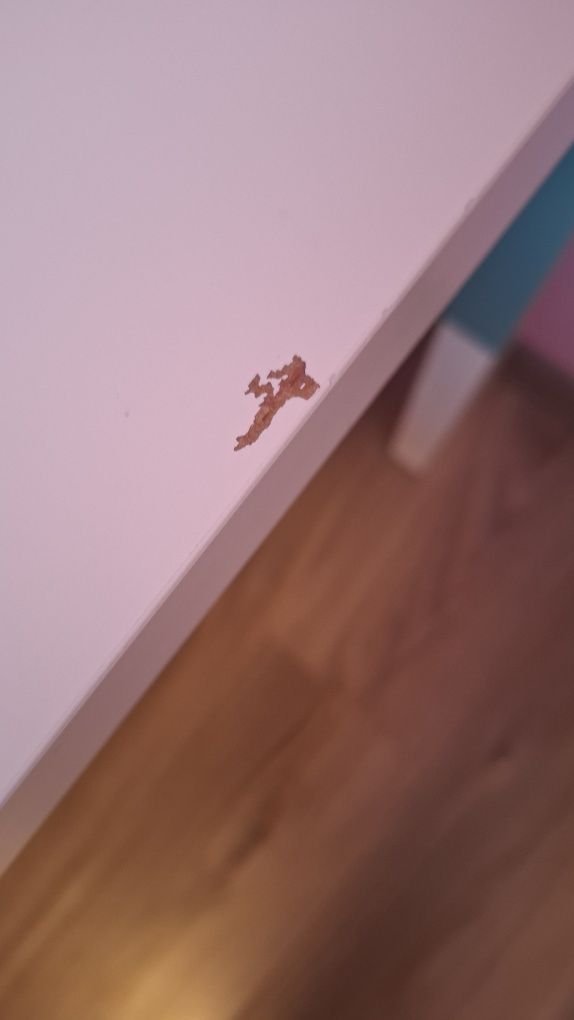 Biurko regulowane IKEA PÅHL dla dzieci + półki