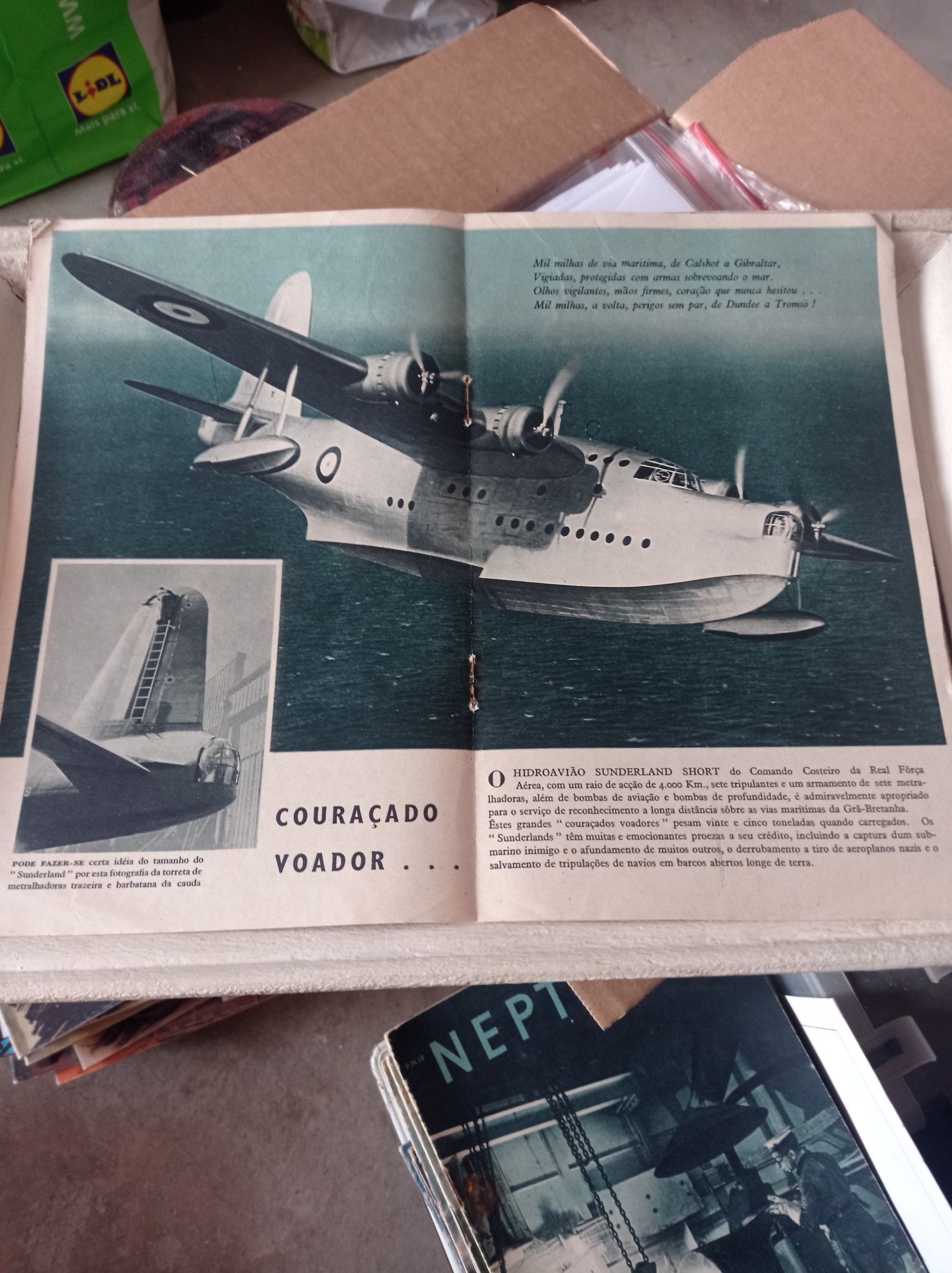Revistas Neptuno