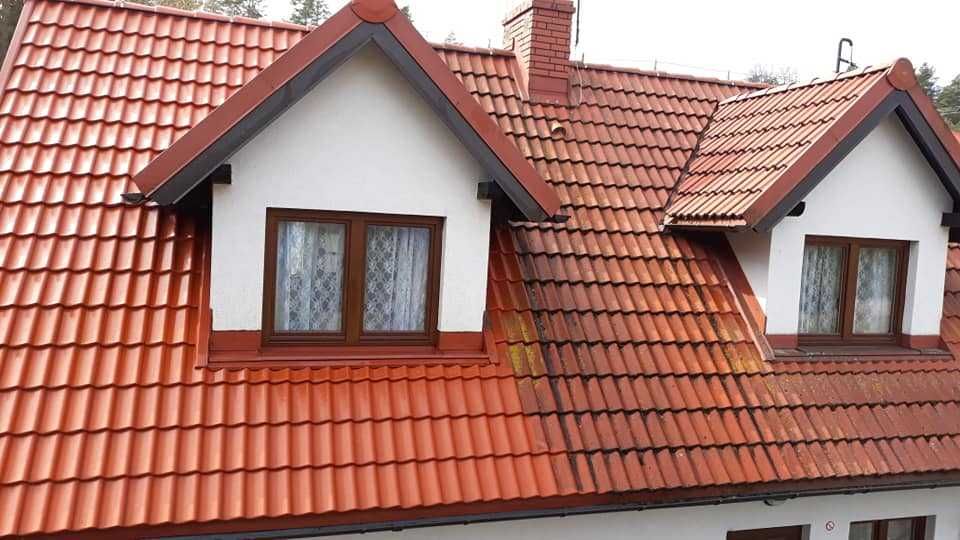 czyszczenie, malowanie, dachów, elewacji, mycie okien / przeszkleń