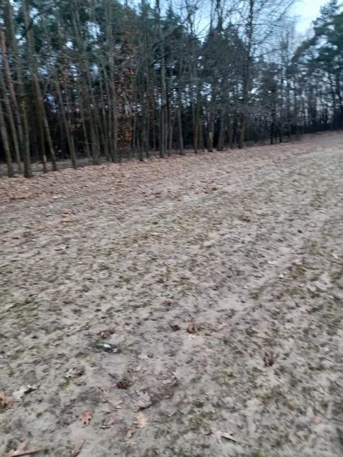 Działka budowlana 1000m²