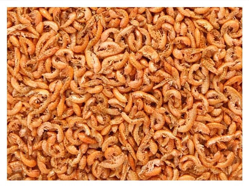 100g GLOPEX Kiełż syberyjski suszony naturalny pokarm dla ryb akwar.