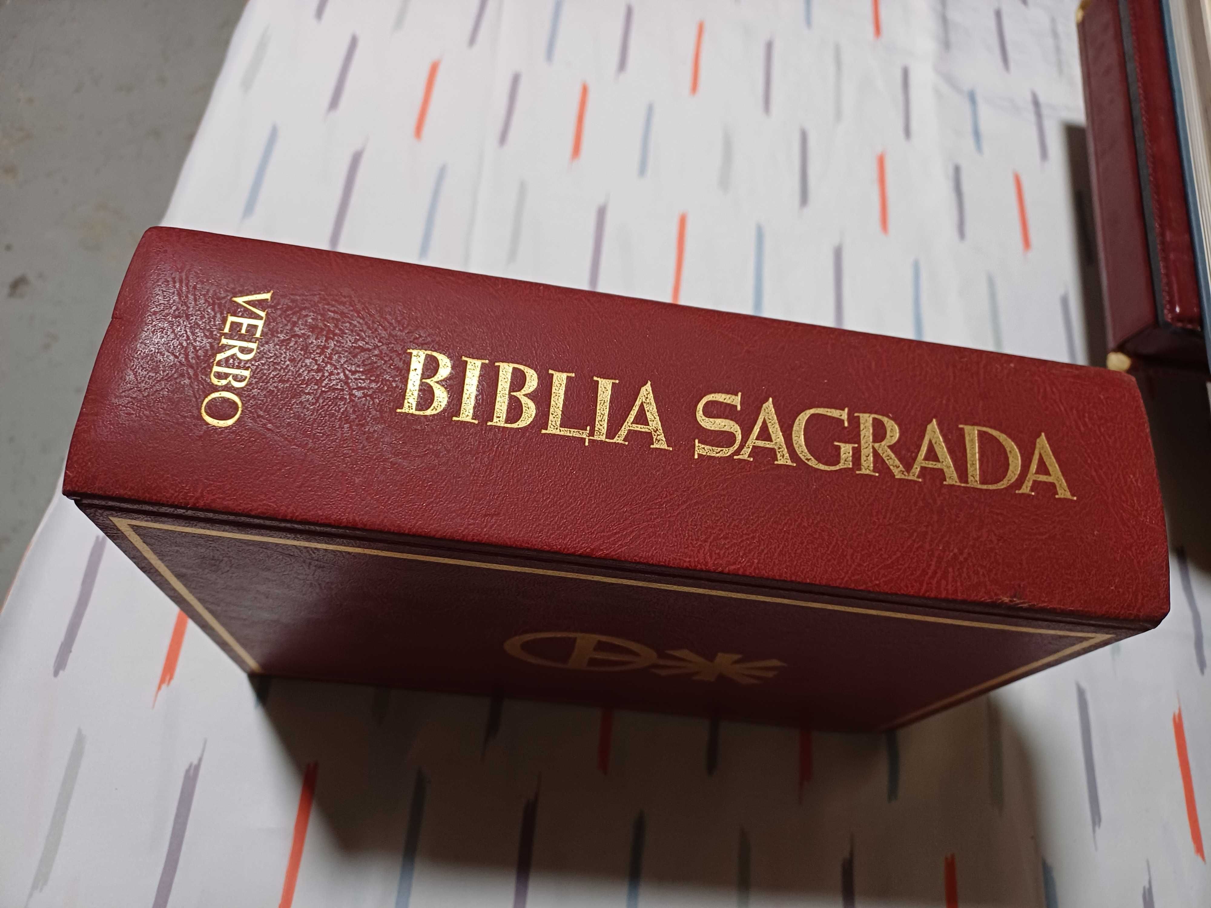 BÍBLIA Sagrada - Edição Verbo
