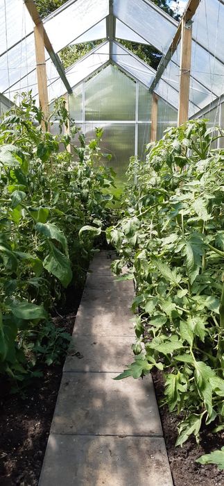 Działka ROD w centrum Torunia