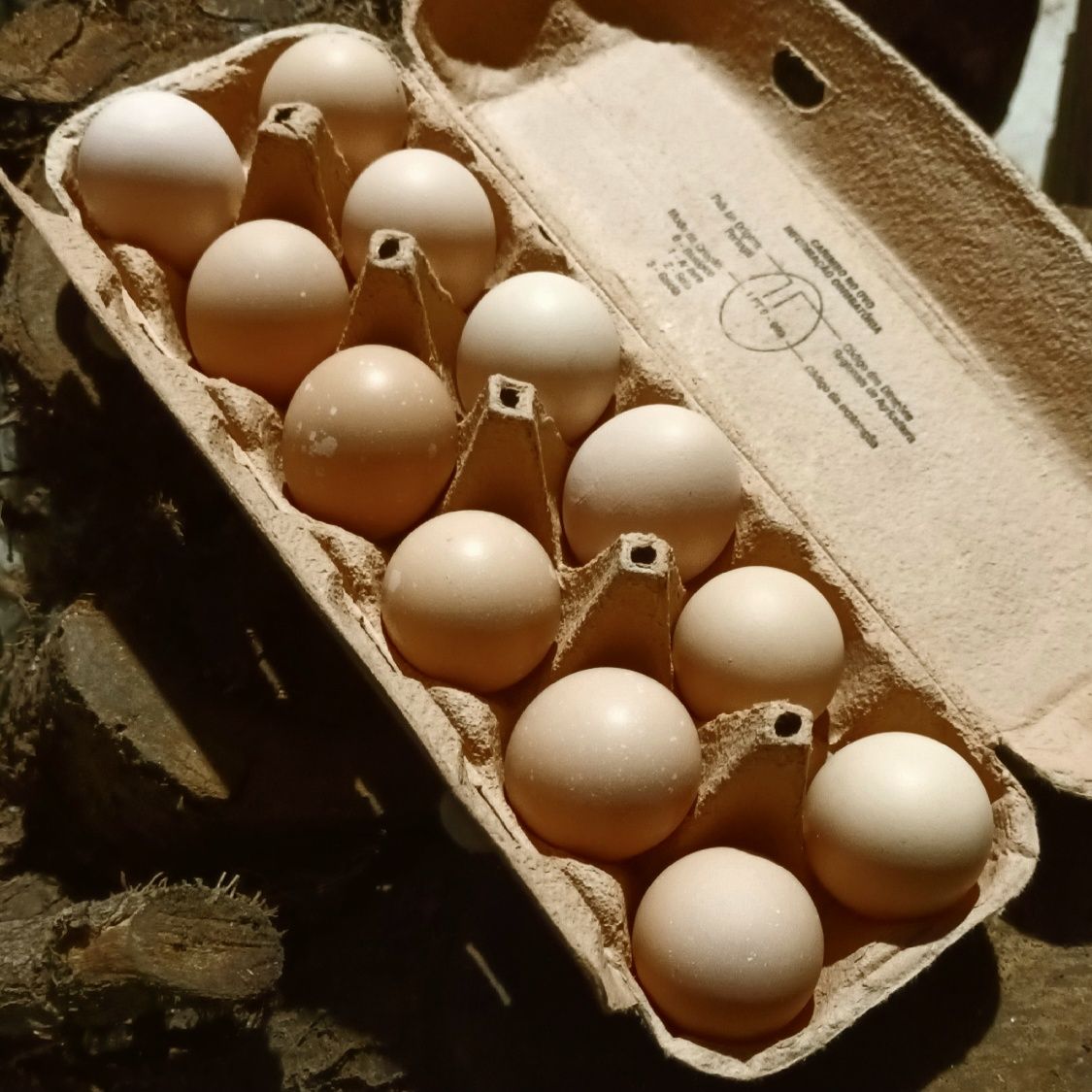 Ovos galinha pedrez