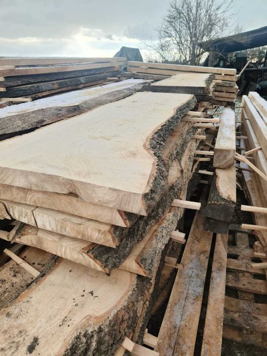 deski jesion dąb tarcica jesionowa dębowa mokra 5 cm 50mm