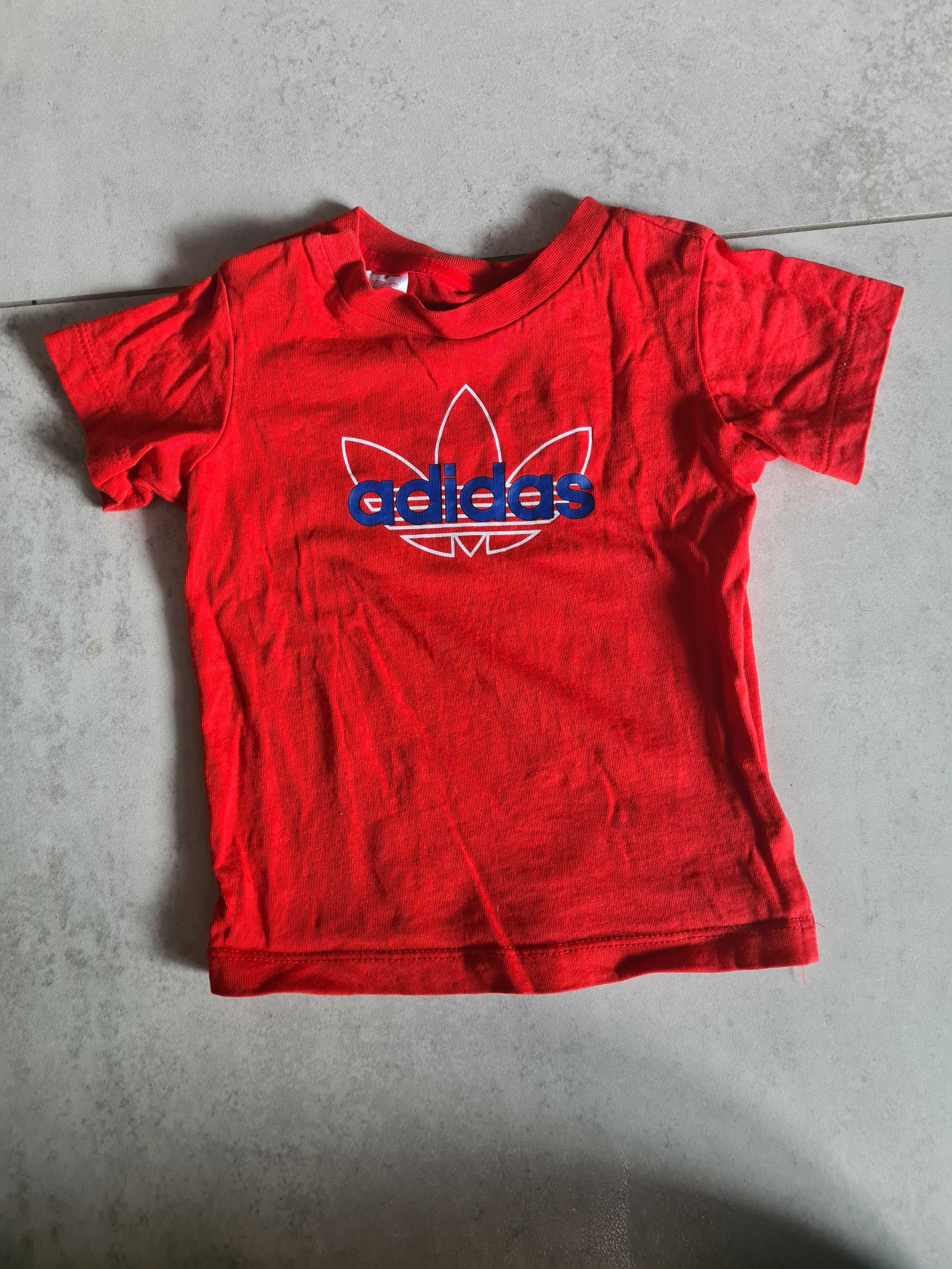 t-shirt koszulka czerwona adidas r. 80 9-12 msc