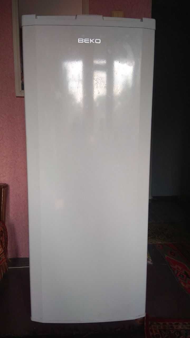 Морозильна камера Beko FSA 21320