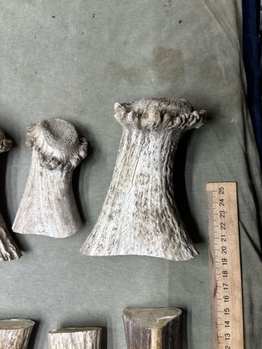 Масивні заготовки рог