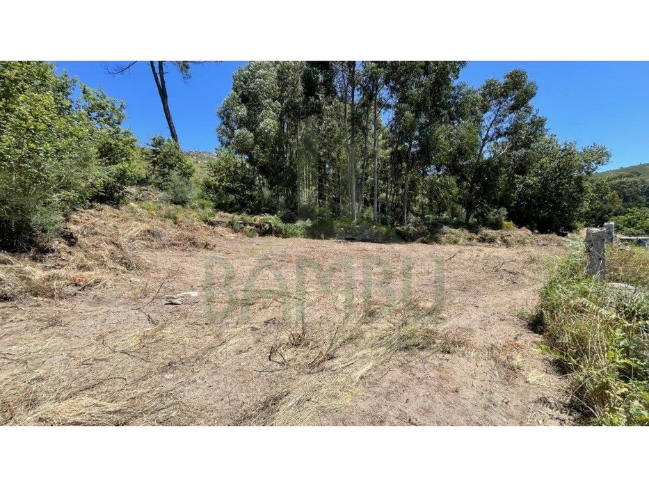 Terreno Venda Valença