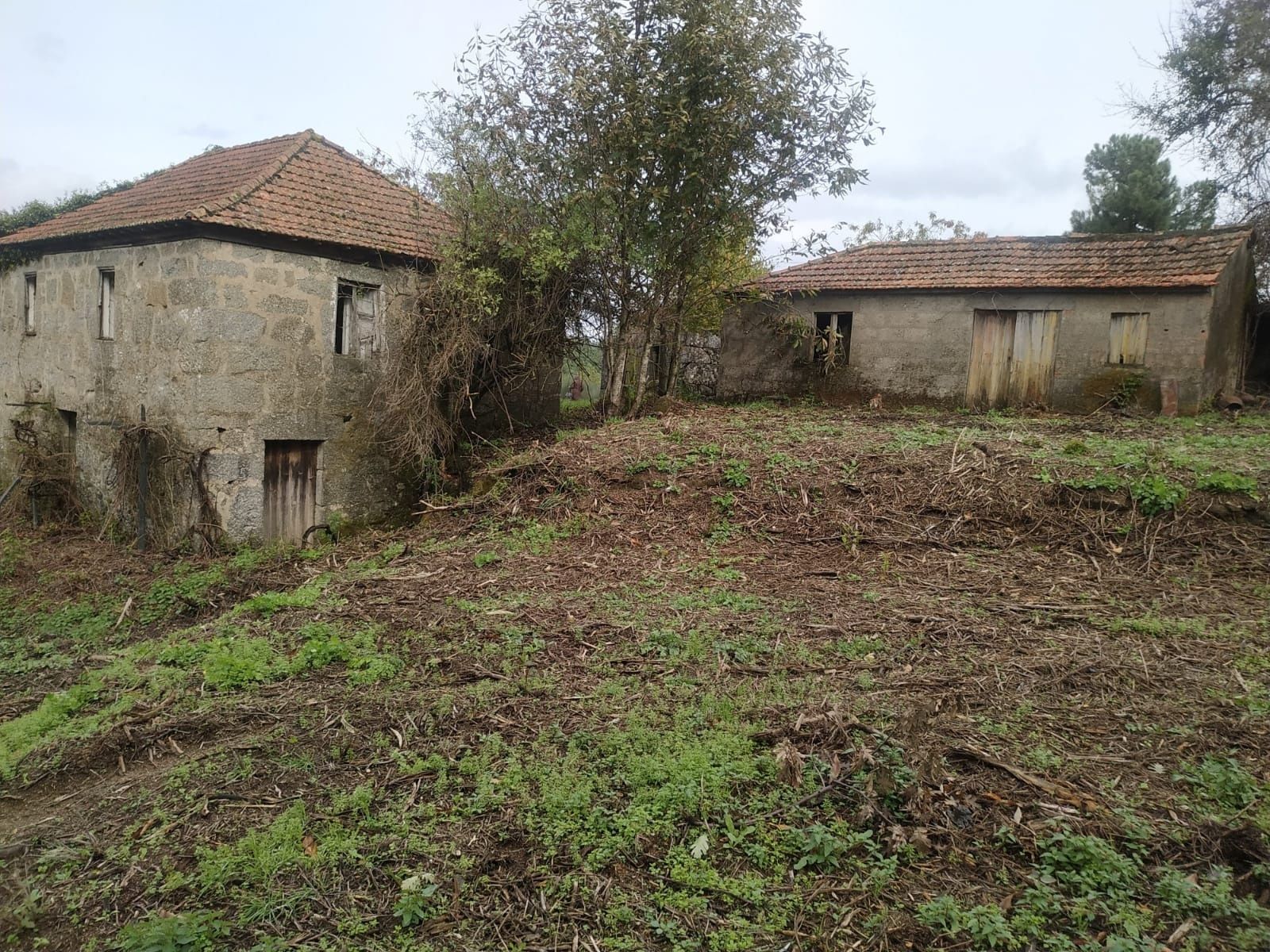 Quinta com 5,7 hectares com casa em pedra