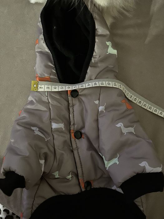 Одяг для собак.