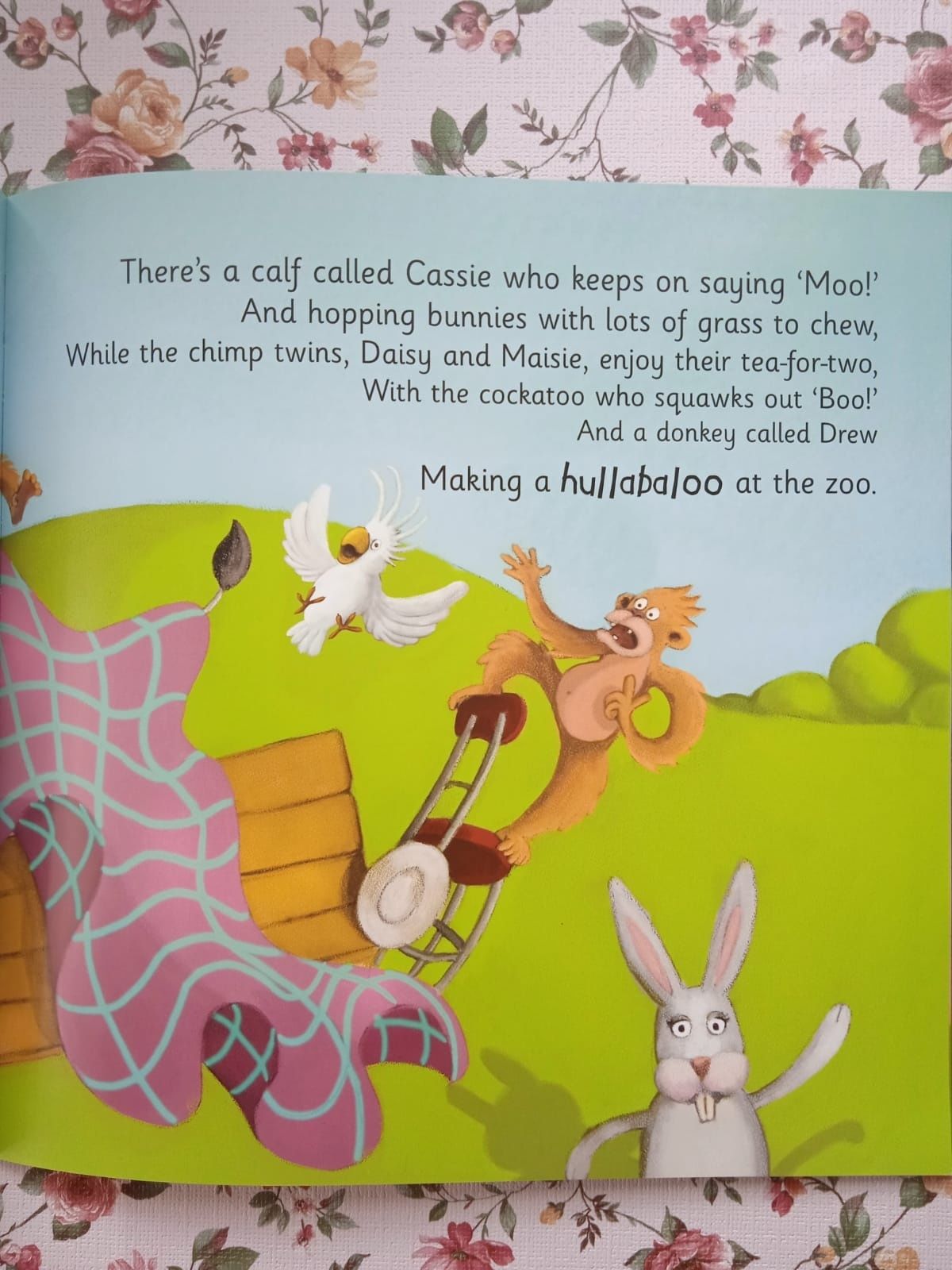 Książka dla dzieci Hullabaloo po angielsku