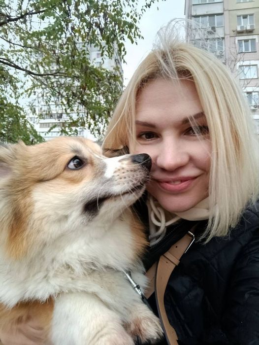 Перетримка животних зооняня кота собаки передержка домашня