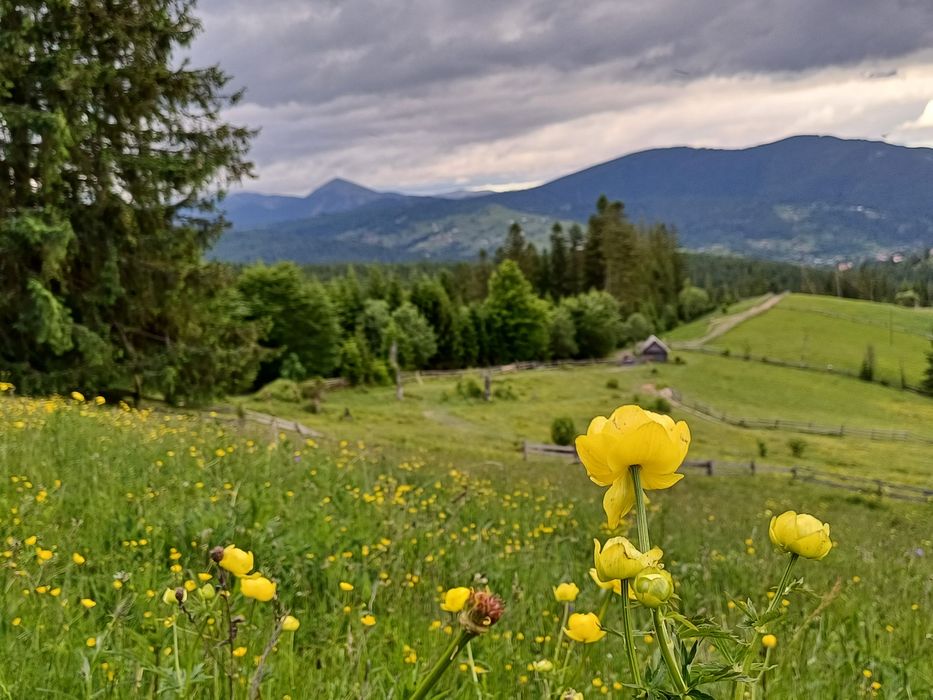 Котедж "Квітуча долина"