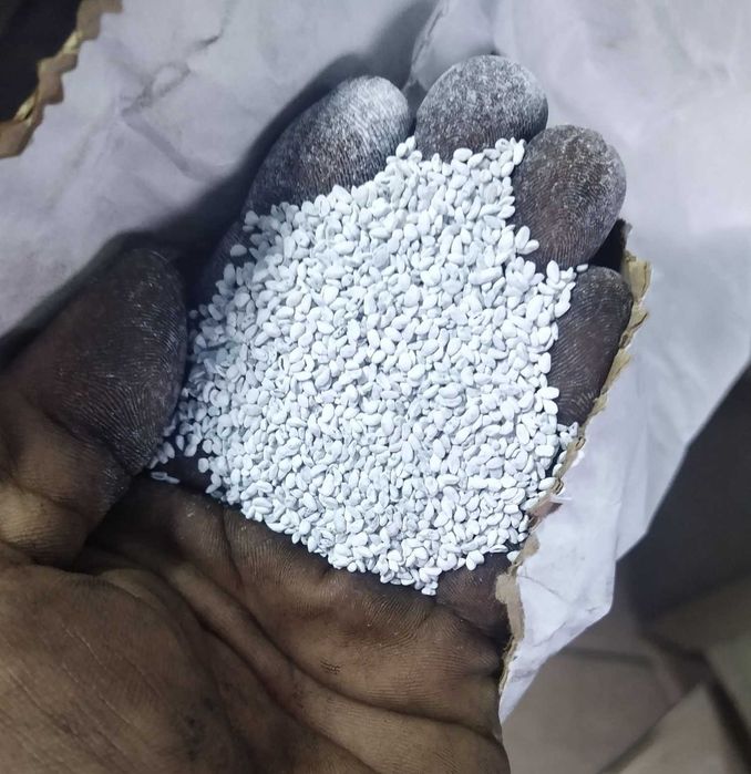 Koniczyna czerwona pakowana OCZYSZCZONE ZIARNO KONICZYNY Dowóz Faktura