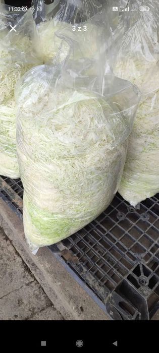 Kapusta szatkowana z własnego gospodarstwa