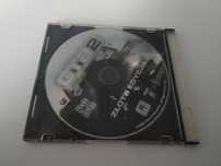 GTA 2 złota edycja pc