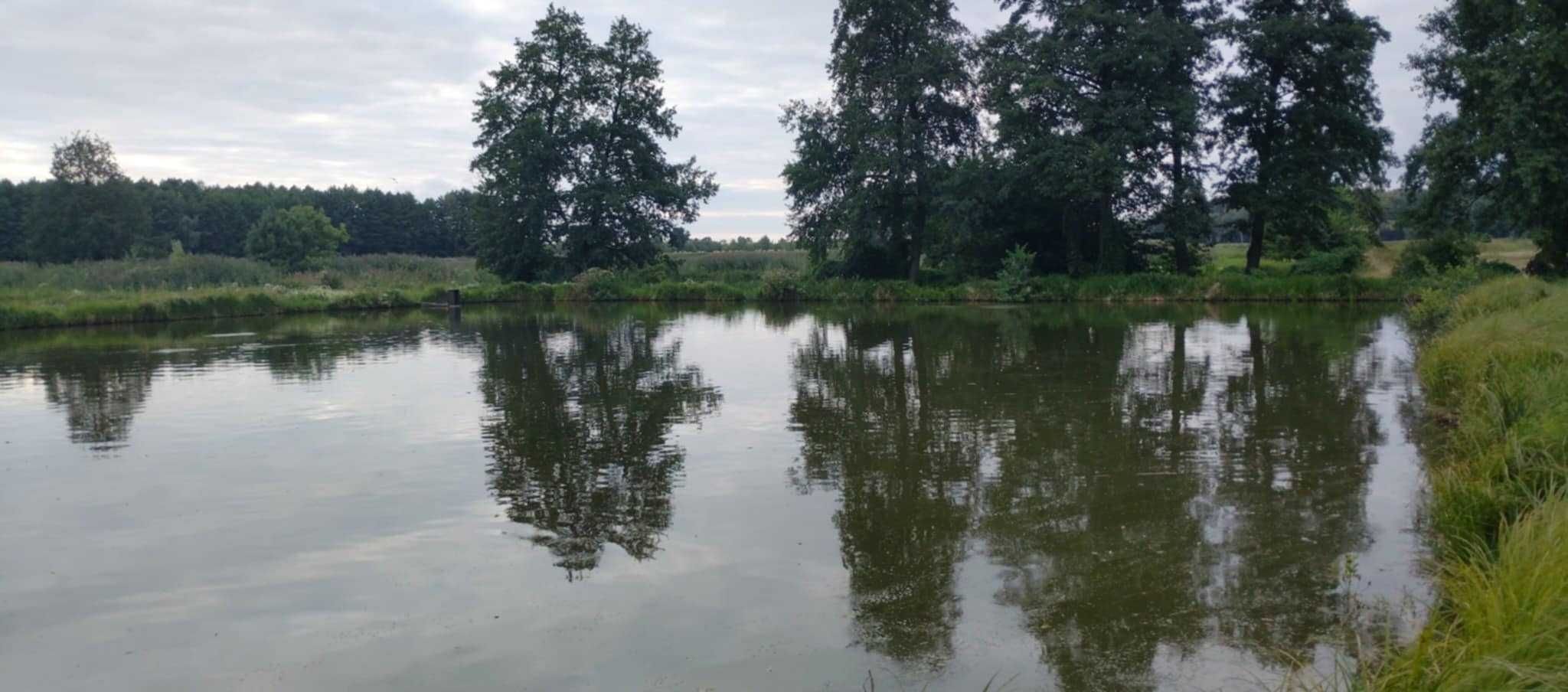 Dom wolnostojący z dużą działką i stawami