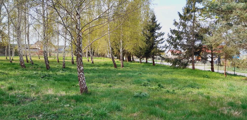 Sprzedam działki budowlane z MPZP Rusko koło Darłowa