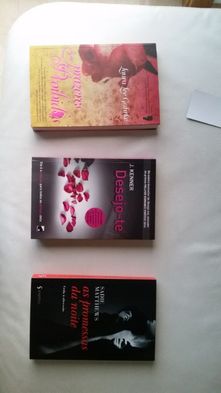 Conjunto de livros de literatura erotica