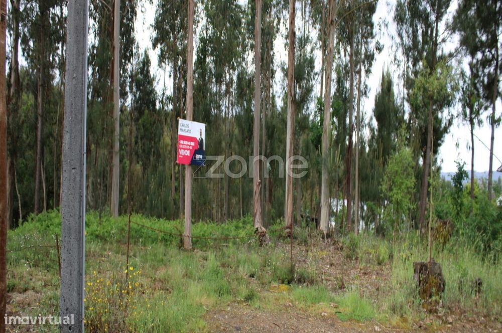 Lote com 45% de Implantação