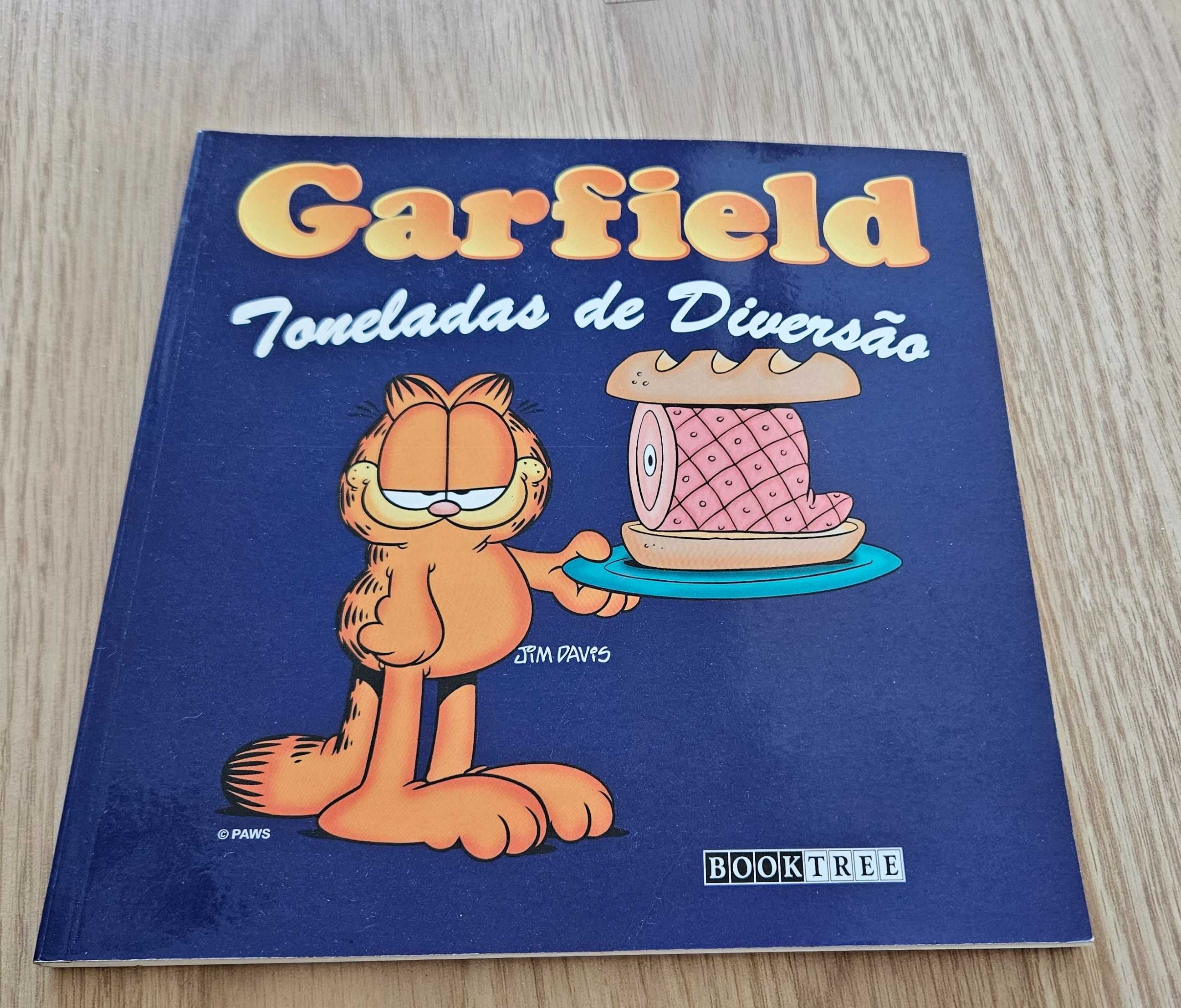 Garfield Toneladas de Diversão