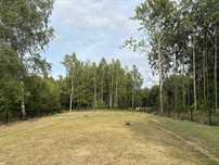 Piękna działka 900 m² z warunkami zabudowy - Dyszów