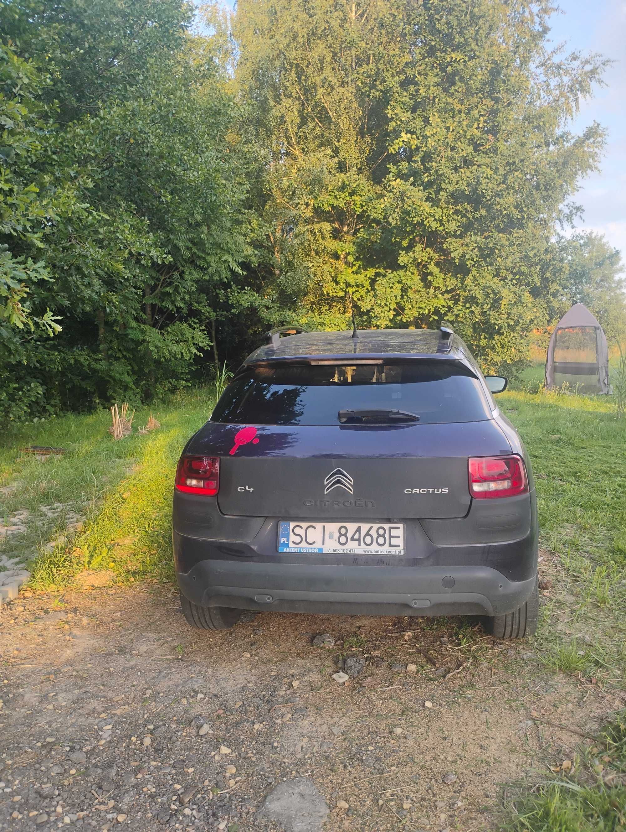 Citroen C4 cactus