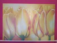Żółte tulipany 100x70