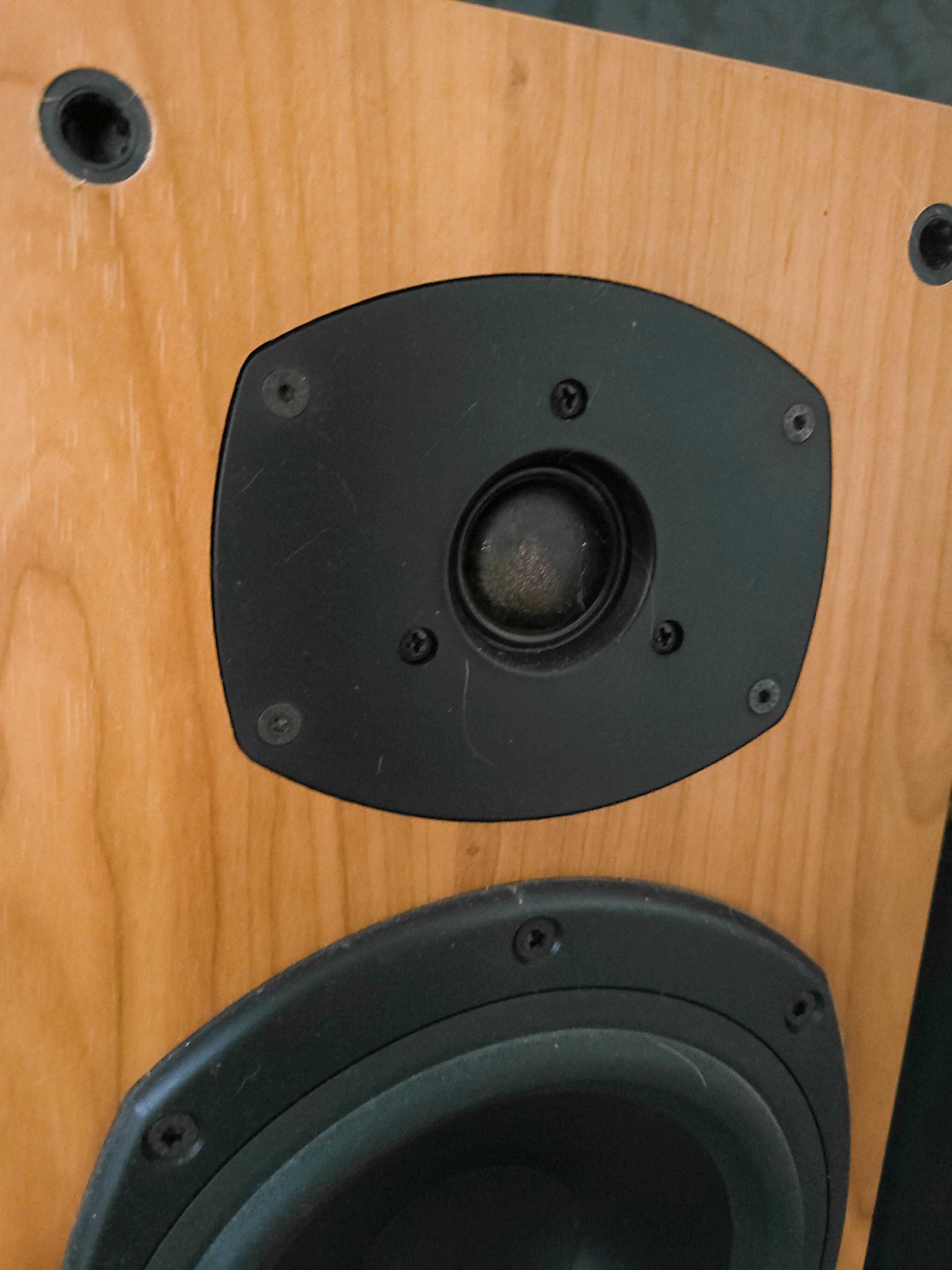 Monitory podstawkowe Tannoy M2