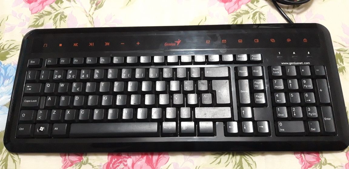 Teclado genius usado