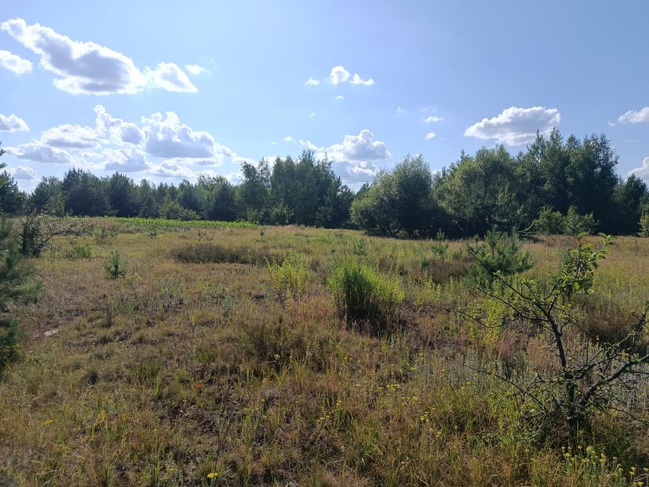 Продам 15-сот під забудову село.Сінгурі р-н новобудов