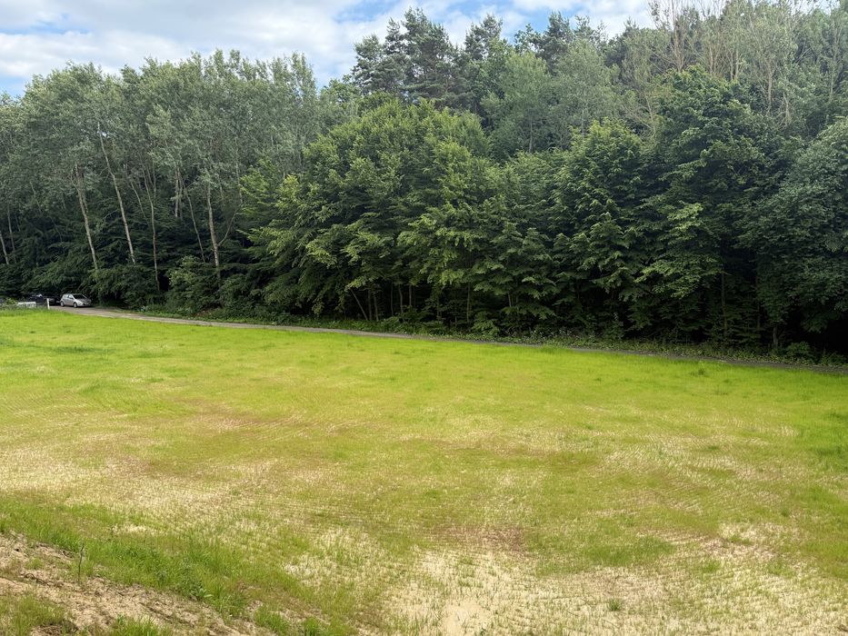 Działka budowlana 2831 m2, Nałęczów, prywatnie