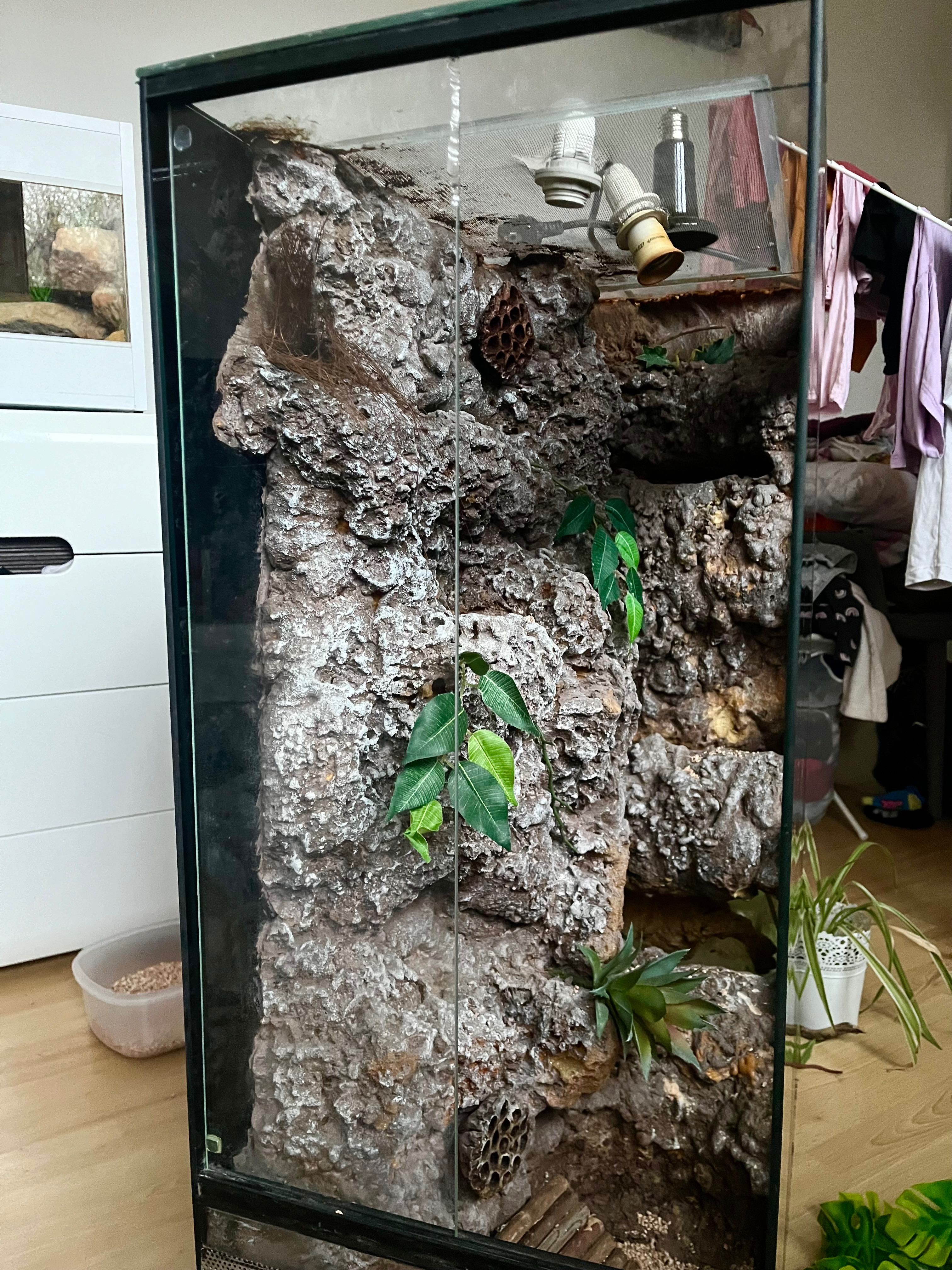 Terrarium wertykalne 90x70x34 ze ścianką i wystrojem w dobrym stanie