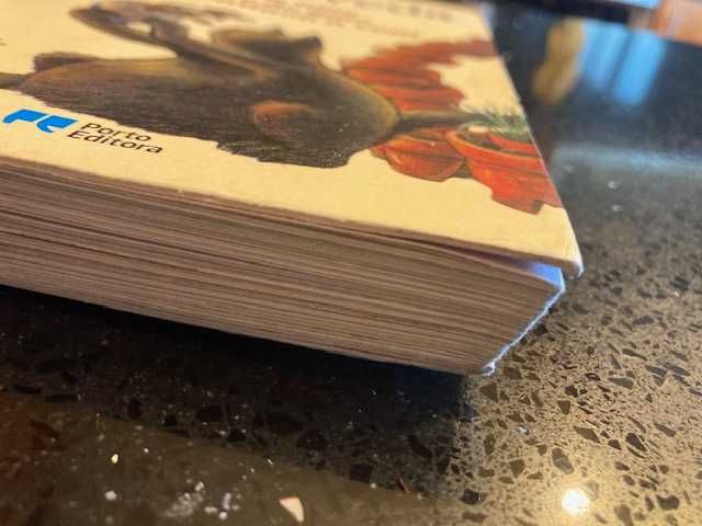 História de uma Gaivota e do Gato que a Ensinou a Voar