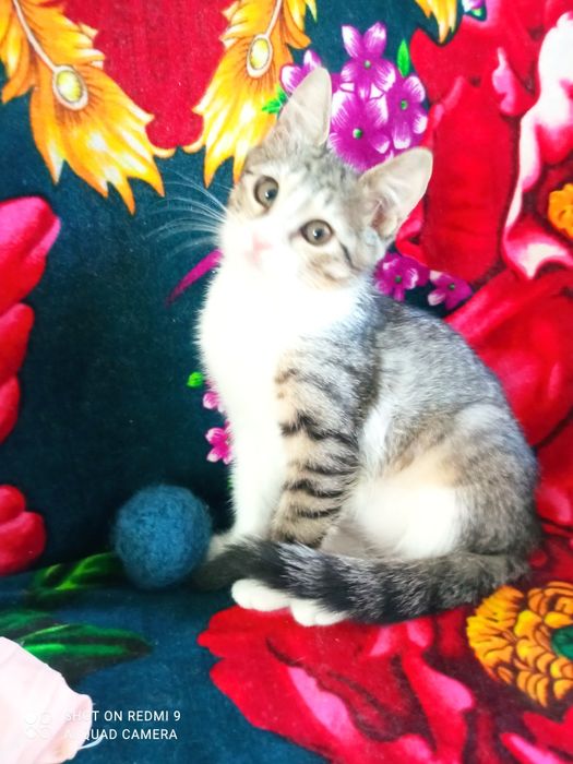 Малеча в любов та турботу