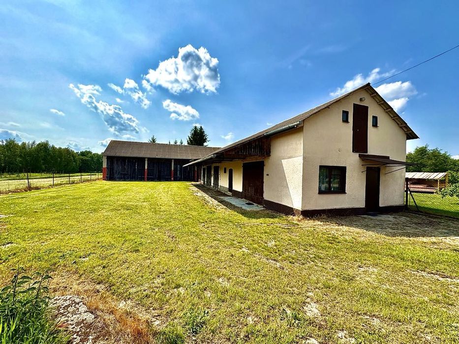 Siedlisko-74a z domem, budynkami i zielenią wokół!