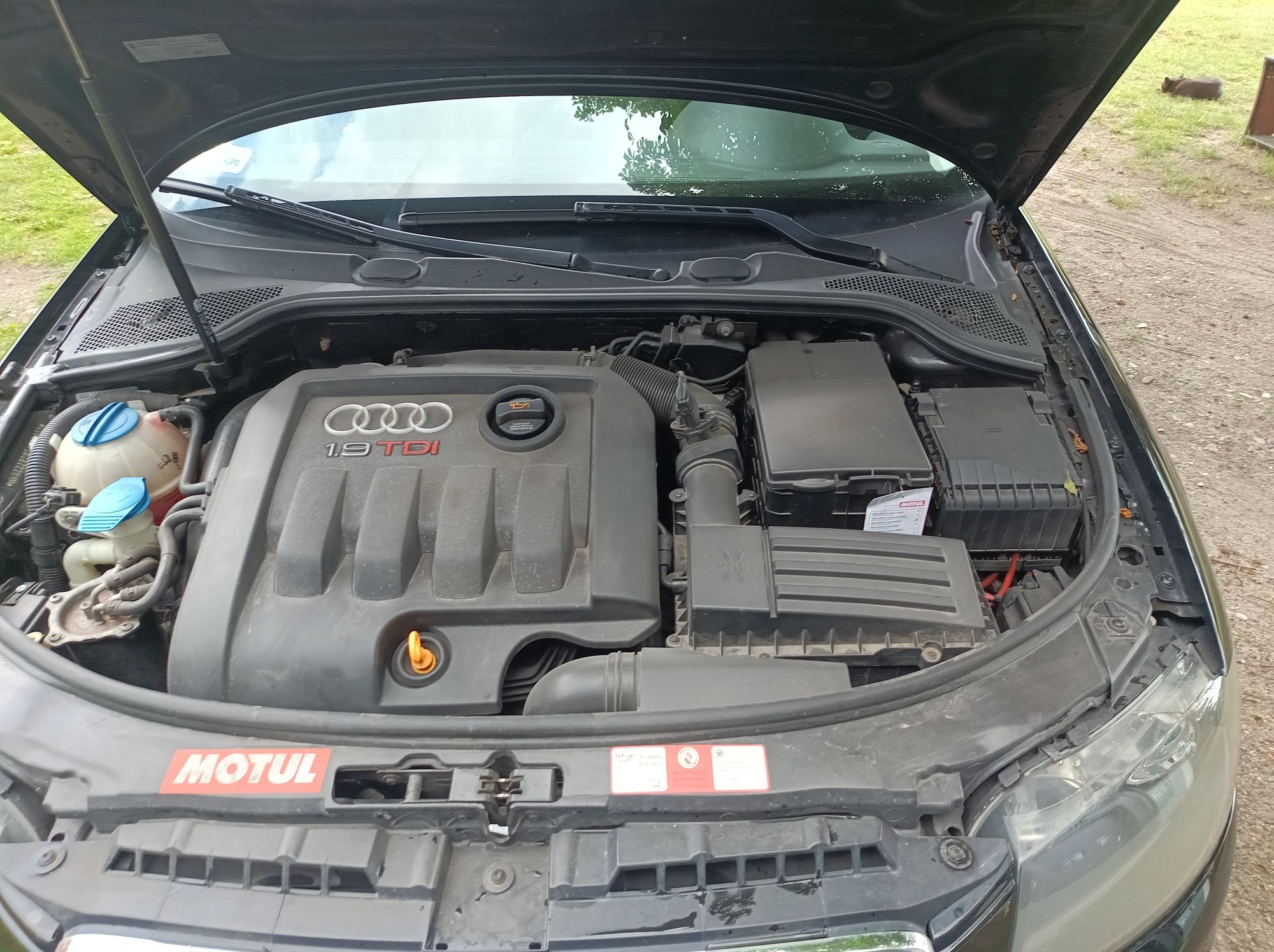 Audi A3 8p 1.9TDI