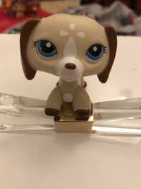 Littlest Pet Shop pies Jamnik #1491 LPS POP Dog Collie Spaniel