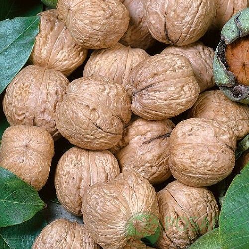 Терміново! Потрібна Ваша допомога!!!