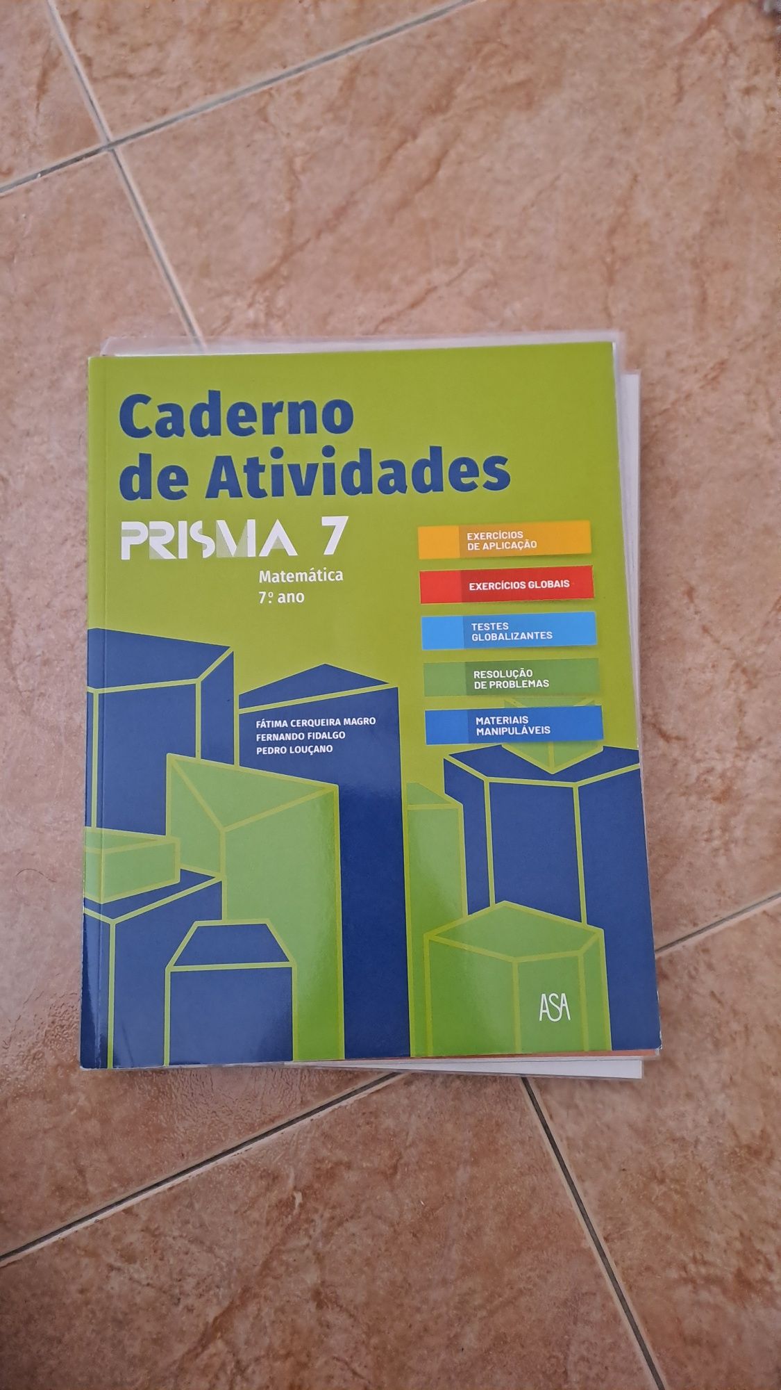 Caderno de Actividades do 7 ano