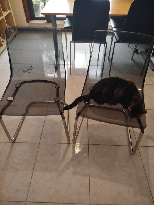 Cadeiras de acrílico cinzentas