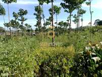 Terreno para Construção