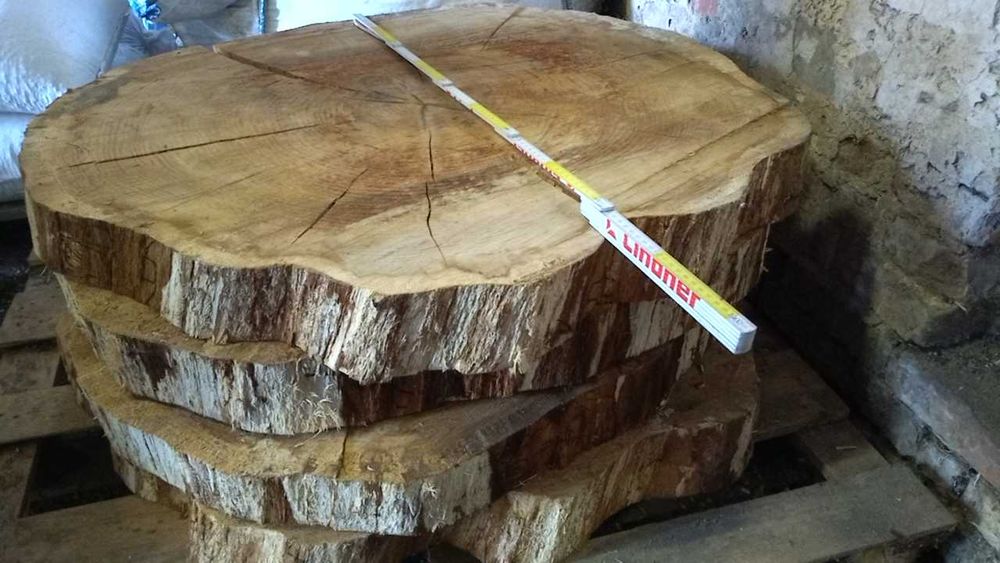 Plastry drewna dębu debu